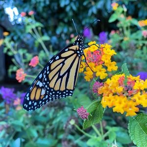 Meet your Posher, Joan